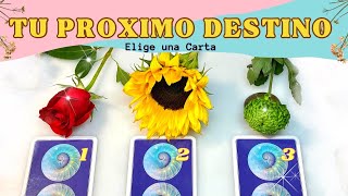 ¿Hacía Donde Va Tu Vida  Elige una Carta ✨ Tarot Interactivo [upl. by Apollus]