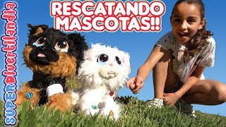 🐱 RESCATANDO MASCOTAS 🐶 Rescue Runts gato perro y unicornio [upl. by Rochkind373]