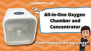 Pet Oxygen Chamber  Concentrator  The easiest way to treat hypoxia [upl. by Oakie]