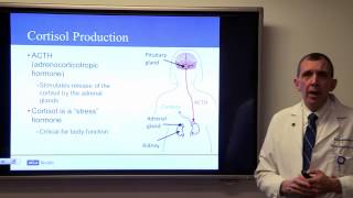 Latest Treatment Options for Pituitary Tumors Marvin Bergsneider MD  UCLAMDChat [upl. by Etyak]