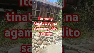 Watch this the old style rice granary music explore nilda62granary [upl. by Troc]