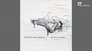 Zé Miguel Wisnik Ft Luciana Alves  DNA CD Pérolas aos Poucos [upl. by Niattirb]