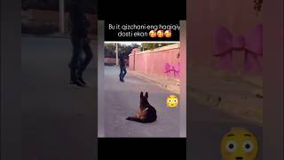 N1 eng zor videolar kanali HayotSinovlari1👏🏻❤️👍🏻 reels ibrat instagram ibratli rek shorts [upl. by Annoyi]