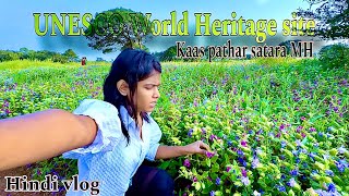 Kaas pathar satara Maharashtra  latest vlog  valley of flower  kaaspathar satara [upl. by Htiekel]