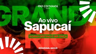 GRANDE RIO  AO VIVO CARNAVAL 2024  Sambas de Enredo Lyric Video Oficial [upl. by Eiznekam]