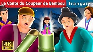 Le Conte du Coupeur de Bambou  Tale of the Bamboo Cutter in French  Contes De Fées Français [upl. by Imoyn696]