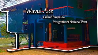 Wavul Abe Circuit Bungalow  Wasgamuwa National Park [upl. by Ariel]