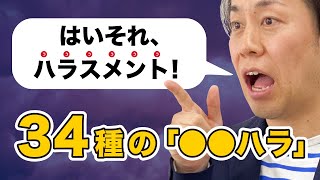 ダメな会社のハラスメント対処法！パワハラセクハラモラハラアルハラ等34種のハラスメント一挙公開 [upl. by Nikolai396]