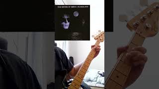 the sisters of mercy  lucretia my reflection BASS cover snippet [upl. by Mcculloch]