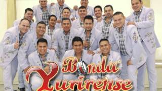 Flor de canela Banda Yurirense Puras Instrumentales 2013 [upl. by Harday]