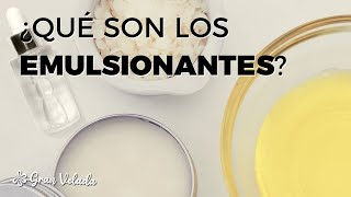 ¿Que son los emulsionantes [upl. by Annig16]