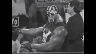 nWo Theme  Hollywood Hogan Voodoo Child [upl. by Oicnerolf546]