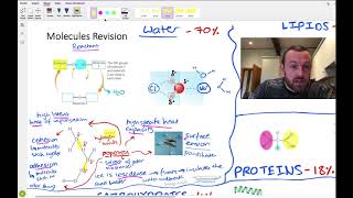 The Whole of OCRALevel Biology  Exam revision for papers 1 2 and 3 [upl. by Iffar]