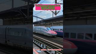 JR East Tohoku Shinkansen E6E5 high speed passage Utsunomiya Station 3japantrains shinkansen [upl. by Stortz578]