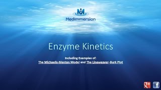 Enzyme Kinetics [upl. by Asiek]