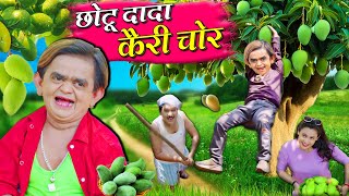 Chotu Dada Kairi Chor  छोटू दादा कैरी चोर  Khandesh Hindi Comedy  Chotu New Comedy 2024 [upl. by Aremus631]