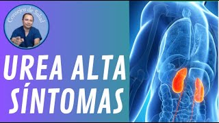 Urea alta síntomas y dieta VIDEO 28 [upl. by Nekcerb]