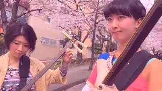 Shamisen Under The Cherry Blossoms II  KiampKi 輝amp輝 津軽三味線 [upl. by Boice732]