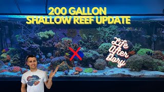 200 Gallon Innovative Marine Update Life After Dory [upl. by Alliuqat]