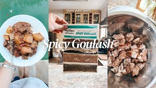 Spicy Goulash  Nice n Spicy [upl. by Nagiem]