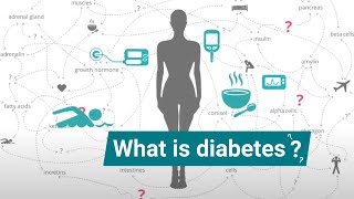 What is diabetes What causes diabetes Quin explains it in 70 seconds [upl. by Ahsinehs607]