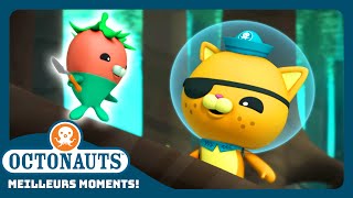 Octonauts  🥕 À la recherche des végimaux dans la mangrove 🍃 Saison 3  Dessins animés pour enfants [upl. by Ewan]