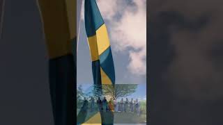 Swedish National day 6 June 2024 [upl. by Kingsley]