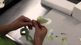 How to Make a Gumpaste Magnolia Part 3 of 3 [upl. by Enelcaj]