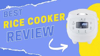 BEST RICE COOKER REVIEW Yum Asia Panda [upl. by Abrahamsen619]