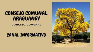 Noti Araguaney 19 10 2024 Taller Agenda Concreta de Acción con los 21 Consejos Comunales [upl. by Bel]