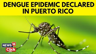 Puerto Rico News  Dengue Cases Rise  Health Officials Declare An Epidemic  N18V [upl. by Lothario]