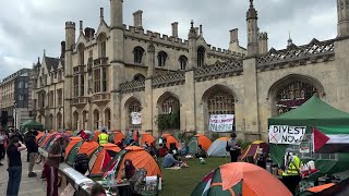 Université de Cambridge  des étudiants mobilisés pour les Palestiniens  AFP Images [upl. by Le]