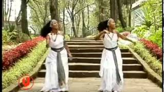 Halloo Daawwee Obboleeysi Oromo Music [upl. by Anaele845]