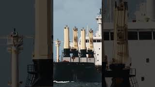 Bulk Carrier TRANSMERIDIAN at sea ships BulkCarrier bulker shorts [upl. by Ivets]