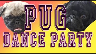 Pug Dance Party [upl. by Burdett327]