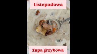 Listopadowe podgrzybki Trochę chłodno ale są [upl. by Nos541]