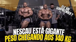 NESCAU ESTÁ QUASE NO LIMITE  PESO CHEGANDO AOS 140 KG  ELE ESTÁ GIGANTE [upl. by Henriques]