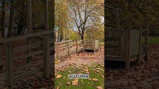 Autumn Ambience  Cozy Fall Atmosphere with Music [upl. by Akcirred]