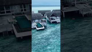 Luxury Maldives water villa shorts maldivesresorts [upl. by Gill]