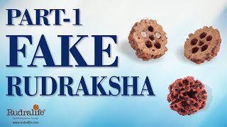 Identify Fake Rudraksha  Part 1  Rudralife [upl. by Miza]