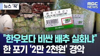 뉴스 꾹 quot한우보다 비싼 배추 실화냐quot한 포기 2만 2천원 경악 20240923MBC뉴스 [upl. by Cyndia314]