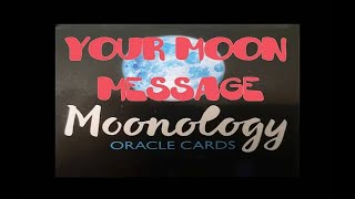 What do you need to release Waning Moon MOONOLOGY oracle card of the day 24 January 2024 [upl. by Seugirdor]