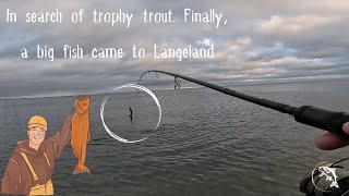 In search of trophy trout Finally a big fish came to Langeland [upl. by Croydon]