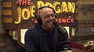 Joe Rogan Experience 1971  Howie Mandel [upl. by Arihsat]