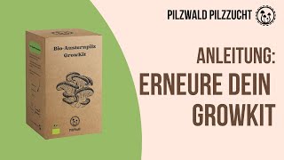 Anleitung Erneure dein Growkit [upl. by Nahraf199]