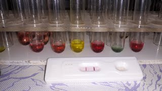 How to Test Hepatitis  B And C  HBS And HCV in Laboratory [upl. by Frankel]