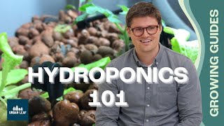 Hydroponics Definition amp How It Works  Kratky NFT and others explained [upl. by Noirad776]