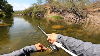 Pescando y Explorando Río lleno de Peces Exóticos Cíclidos [upl. by Carlton119]