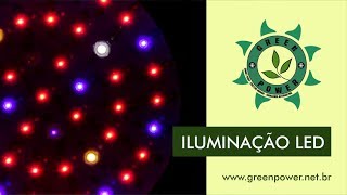 LEDs Evolução do Cultivo Indoor Green Power Grow Led [upl. by Tichon]