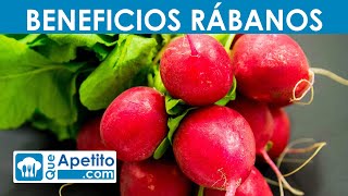 8 Propiedades y Beneficios de los Rábanos  QueApetito [upl. by Egap]